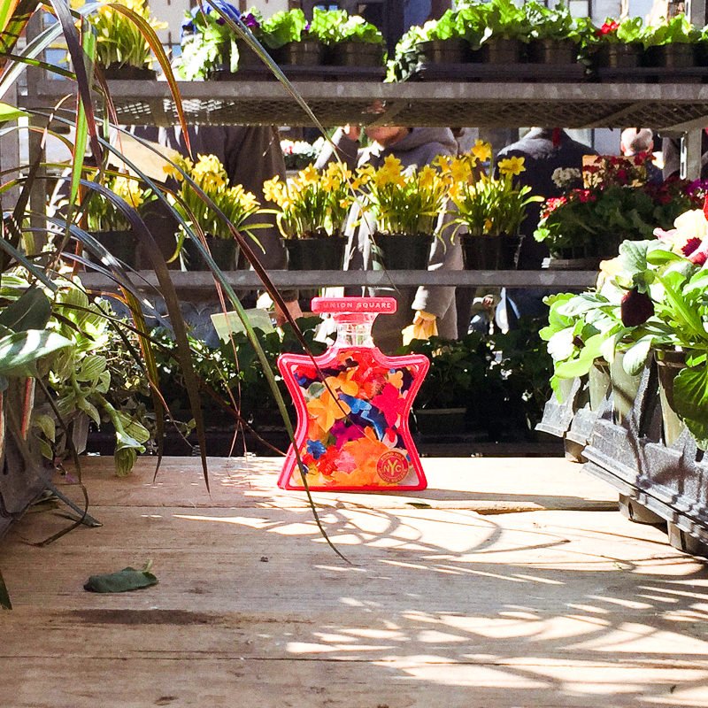 Tour a Tastefully Colorful Florida Abode