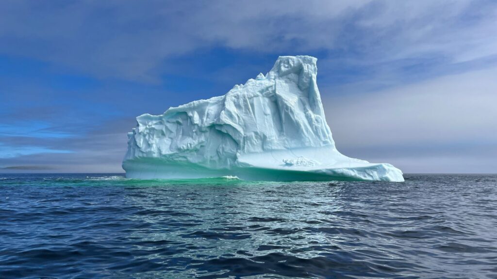 Untitled-design-2024-04-28T161035.393